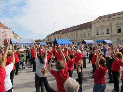 Tjedan kretanja u Domu