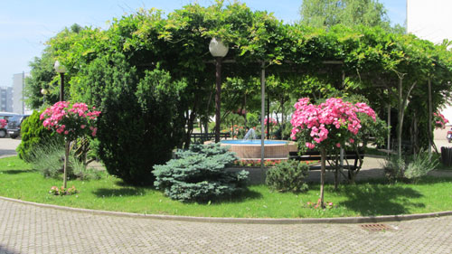 Eko akcija