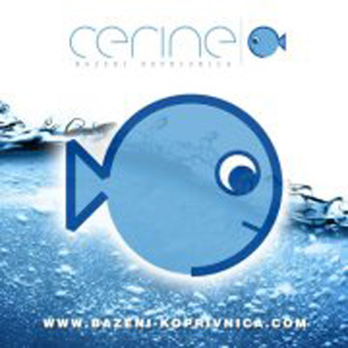 Link - cerine